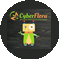 Кибер Флора