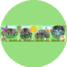 МБДОУ МО г.Краснодар Детский сад № 187